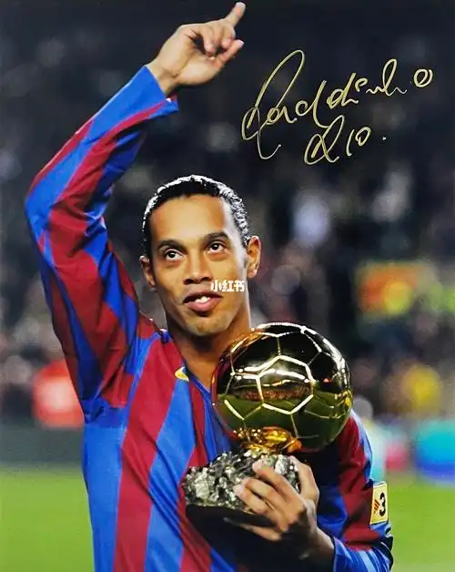 是一个新的 是一个新的